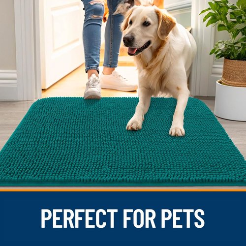OLANLY Dog Door Mat - Absorbent Non-Slip Washable Doormat for Muddy Paws | 40x24, Lake Blue