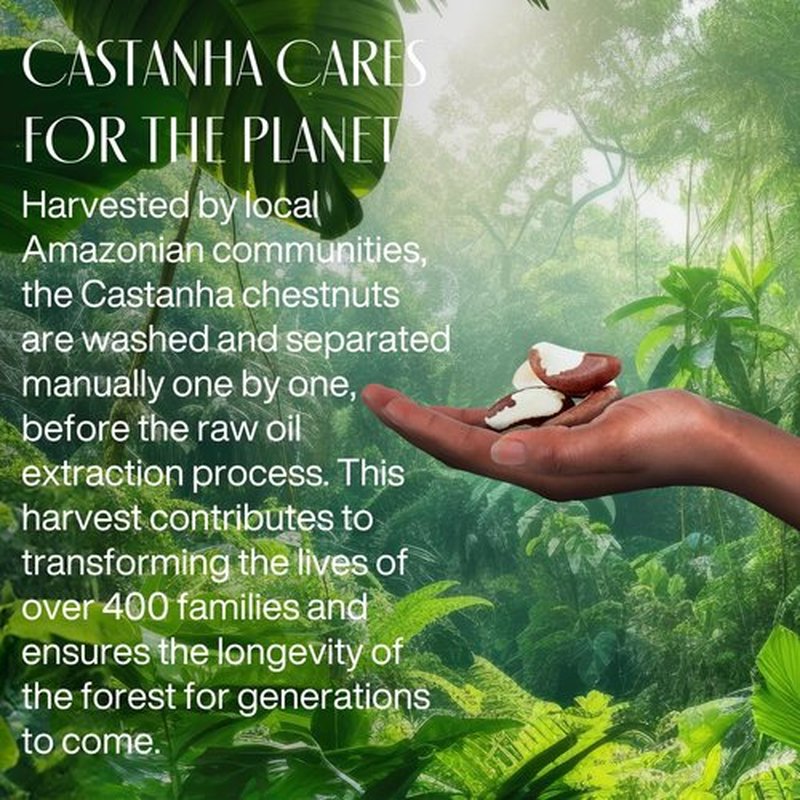 Natura -Brazil Nut (Castanha) Renourishing Liquid Hand Soap - Anti-Dryness - Coconut Derived Cleanser - Vegan Skin Care - Brazilian Beauty Secrets - Self Care & Body Care - 8.4 fl oz (250ml)