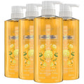 Safeguard Antibacterial Liquid Hand Soap, Micellar Deep Cleansing, Washes Away 99% Bacteria, Made with Natural Moisturizers & Skin Conditioners, PH Balanced, Sparkling Citrus Scent 15.5 oz (Pack of 4)