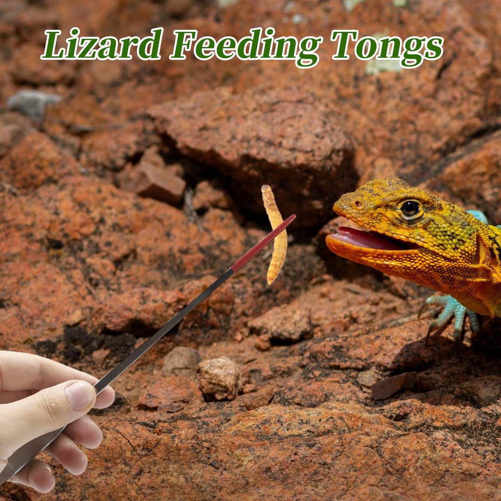 CAPASTEC Reptile Feeding Tongs, Stainless Steel Lizard Feeding Tongs, Aquarium Straight Feeding Tweezers for Reptiles with Rubber Tip, Terrarium Feeding Tongs for Gecko, 10.63" Length, Red