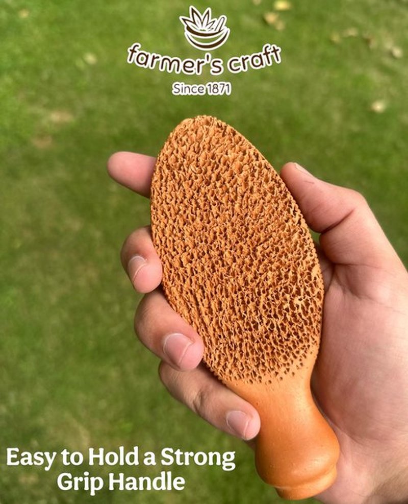 Natural Terra Cotta Pumice Stone for Feet (+Organic Cocoa) Lasts 7+ Years Callus Remover & Trimmer | Ancient Indus Valley Foot Scrubber (Divine Pumice)