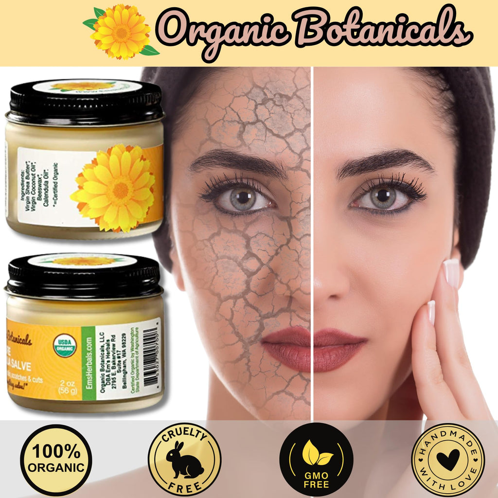 Organic Botanicals Pure Organic Calendula Salve Healing Balm - Calendula Cream Healing Hand Salve Ointment from Local Organic Calendula Flowers, Calendula Gel Eczema Ointment, Certified Organic 4 Oz