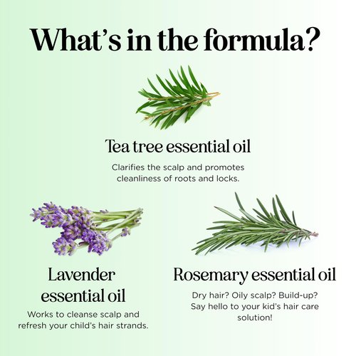 HONEYDEW Cleansing Kids Shampoo for Dry Scalp - Dry Flaky Scalp Care Shampoo for Kids and Hair Build Up Remover with Tea Tree Oil and Rosemary Essential Oils for Hair Care - Cleanser for Build Up