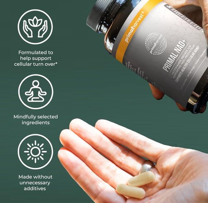 Primal Harvest NAD+ Supplement - Boost Cellular Health & Energy | Nicotinamide Riboside, CoQ10 (60 Count)