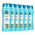 Suave Ocean Breeze Body Wash - Hydrating Formula with Glycerin & Vitamin E | 18 FL OZ, 6 Count