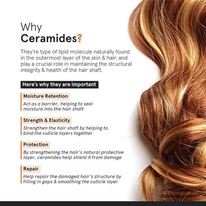 Skiennix Minimalist Frizz Control Complex - Keratin, Argan Oil & Ceramide | Smooths & Protects Hair | 1.69 fl oz / 50 ml