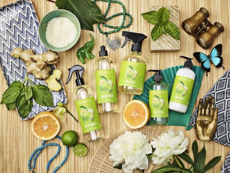 Caldrea Hand Lotion, For Dry Hands, Made with Shea Butter, Aloe Vera, and Glycerin and Other Thoughtfully Chosen Ingredients, Ginger Pomelo Scent, 10.8 oz