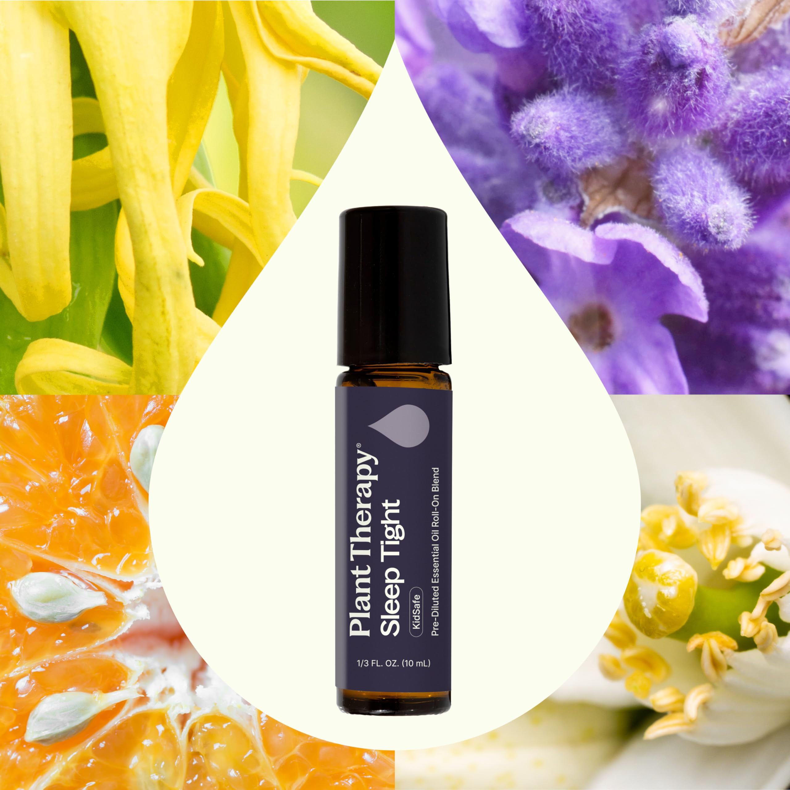 Plant Therapy Sleep Tight Essential Oil Blend 10 mL (1/3 oz) Pre-Diluted Roll-On 100% Pure, Natural Aromatherapy for Deep and Relaxation