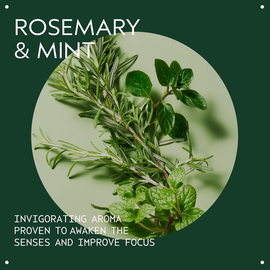 Aveda Rosemary Mint Shampoo & Conditioner Duo - Clarifying Formula for Normal to Oily Hair | 97% Naturally Derived | 1 Liter