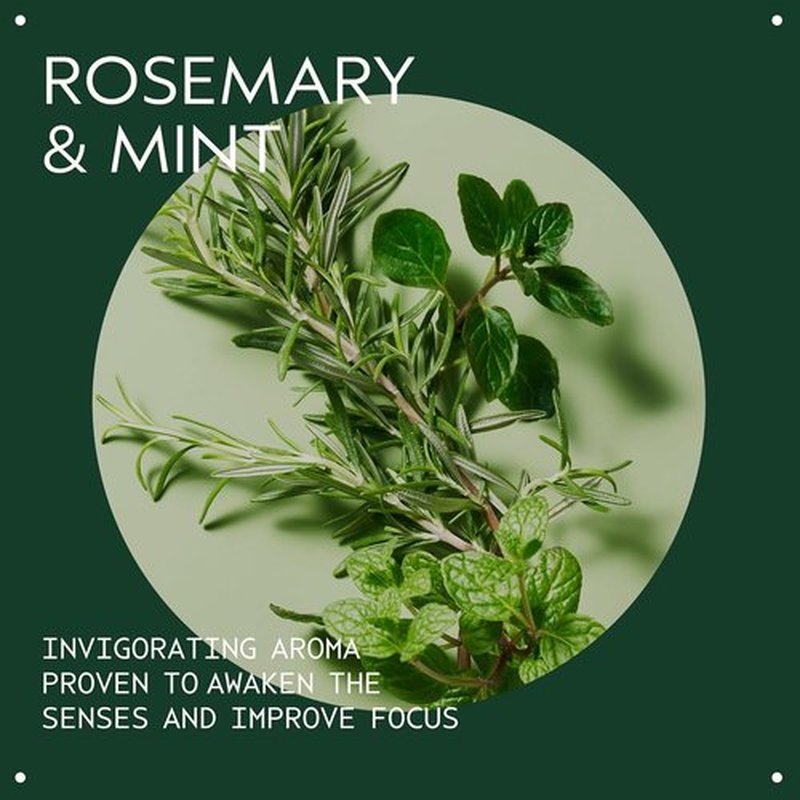 Aveda Rosemary Mint Weightless Conditioner - Lightweight Daily Conditioner for Normal to Oily Hair | Adds Body & Shine
