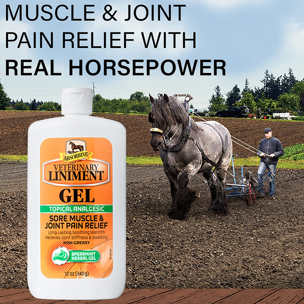 Absorbine Veterinary Liniment Gel, Topical Menthol Analgesic Rub for Sore Muscle, Joint & Arthritis Pain Relief, 12oz Bottle 2-Pack