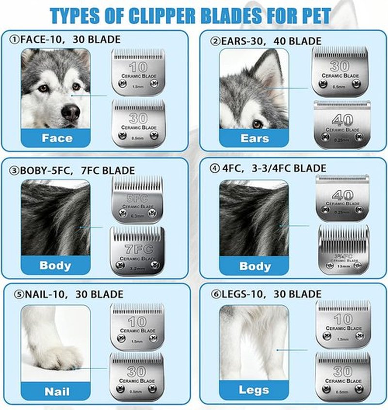 Andis Dog Grooming Replacement Blades - Compatible With Oster A5 & Wahl KM-10 | 3FC Blades (13mm)