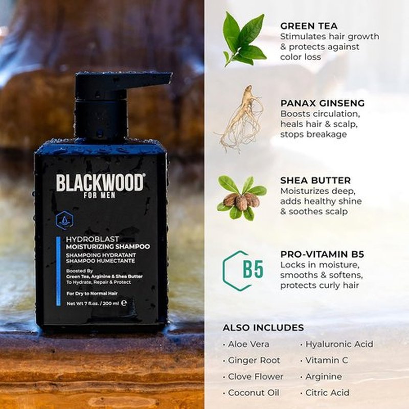 Blackwood For Men Hydroblast Moisturizing Shampoo - Nourishing Shampoo for Coarse, Dry & Curly Hair - Infused with Ginseng & Ginger - Vegan, Sulfate-Free & Paraben-Free (7 Oz)