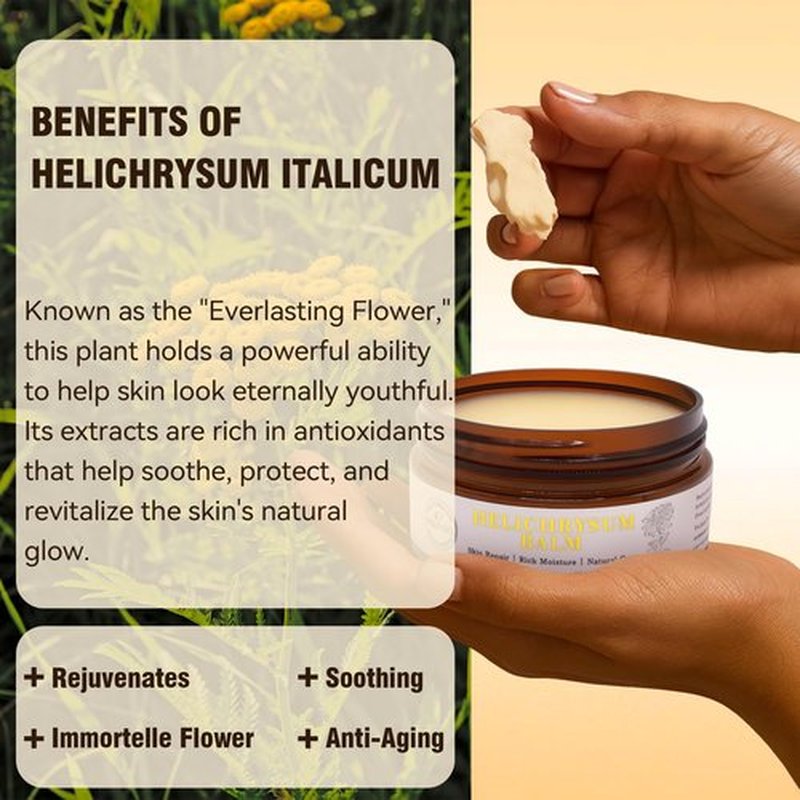 Luzia Glo Helichrysum Healing Balm – Ultra-Repair Natural Salve for Skin | Soothing, Nourishing & Moisturizing | Herbal Recovery Balm for Scars, Bruises, Dry & Sensitive Skin