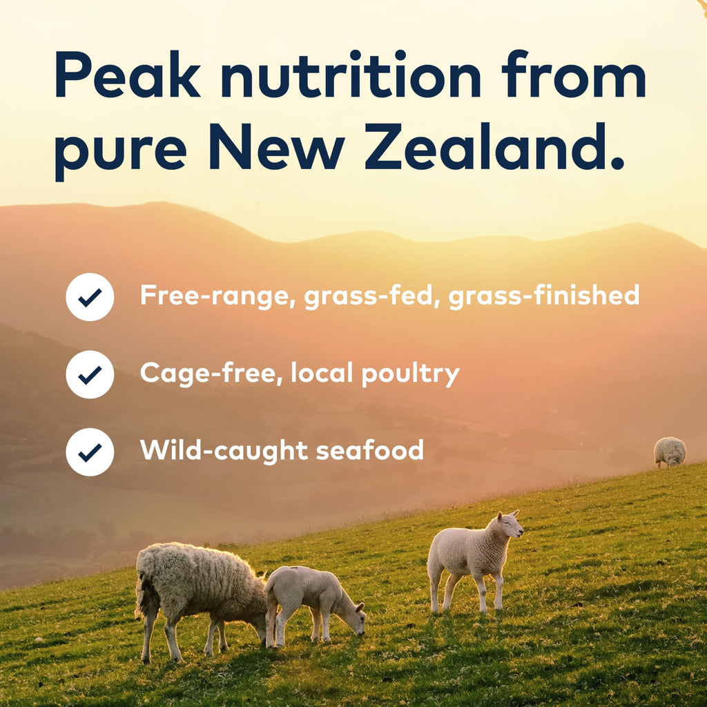 ZIWI Peak Wet Cat Food – All Natural, High Protein, Grain Free, Limited Ingredient, with Superfoods (Venison, Case of 24, 3oz Cans)
