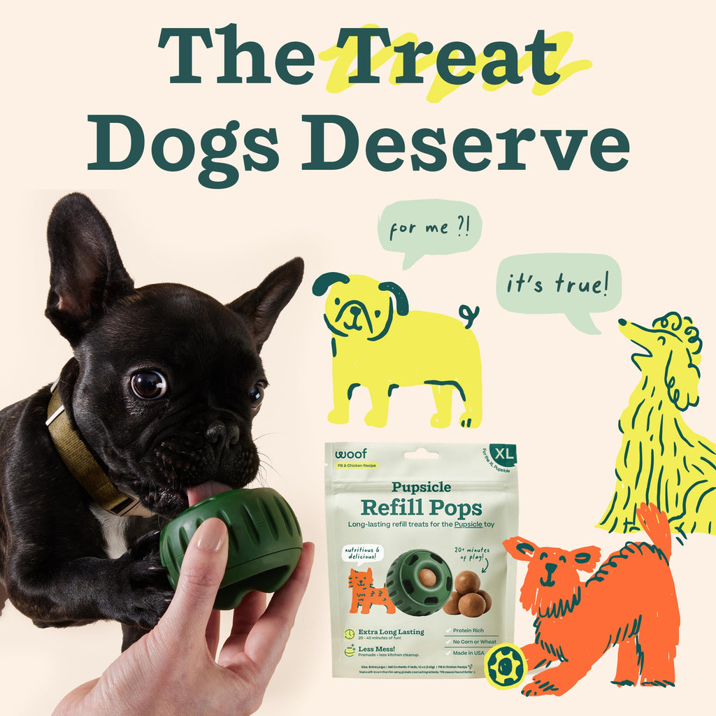 WOOF Pupsicle Chicken Refill Pops Dog Treats, XL, 5 Count, 2 Pack