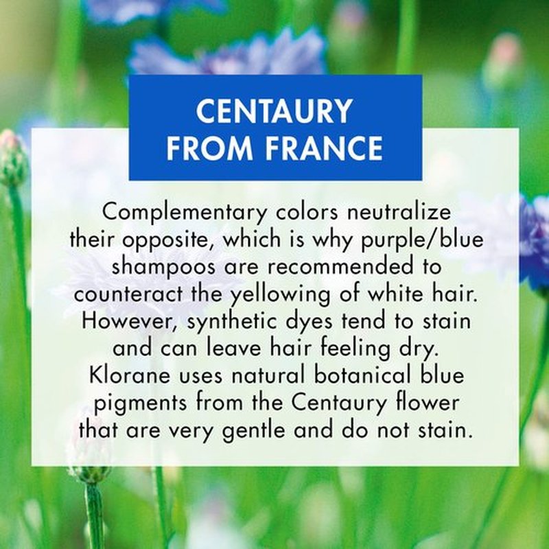 Klorane Shampoo with Centaury - Brightens Blonde & Gray Hair - Neutralizes Yellow & Brassy Tones - 13.5 fl. oz.