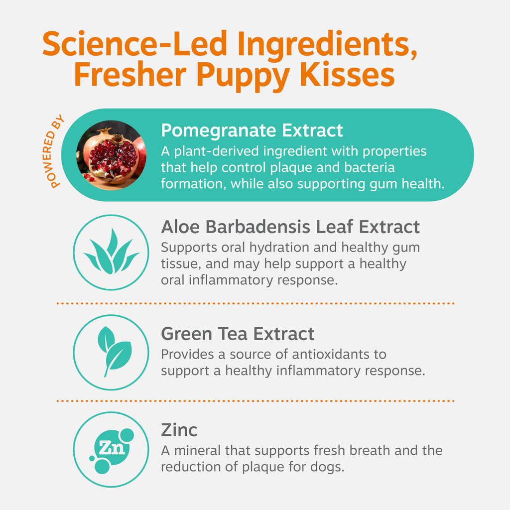 Zesty Paws Dog Dental Water Additive - Dog Breath Freshener + Oral Care - Plaque & Tartar Control - for Teeth & Gum Health - Pomegranate, Green Tea, Aloe & Zinc Extract