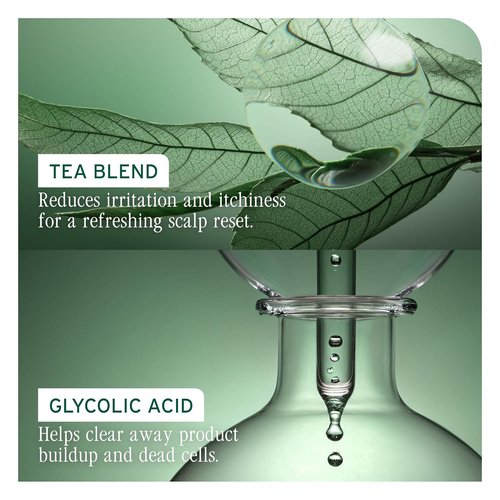 Biolage Scalp Sync Clarifying Shampoo - Remove Residue & Buildup for Oily Scalps
