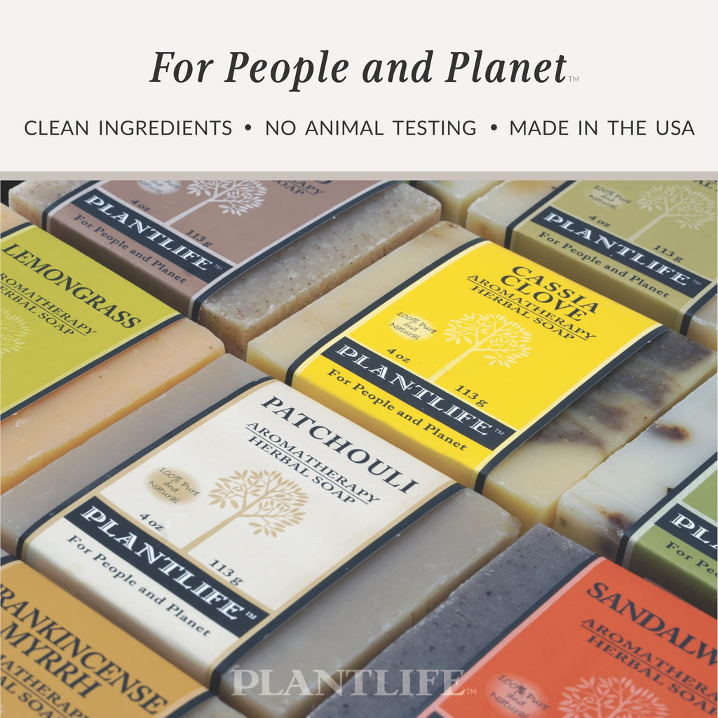 Plantlife Rosemary Tea Tree 3-Pack Bar Soap - Moisturizing and Soothing Soap for Your Skin - Hand Crafted Using Plant-Based Ingredients - Made in California 4oz Bar
