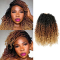 Yanky Twist Crochet Hair 9 Pack(270 Strands Total) Pre loop Pre Twisted Yanky Twist Braids Crochet Hair,Synthetic Spring Short Passion Twist Crochet Braiding Hair Extensions For Women(1B3027, 8 Inch)