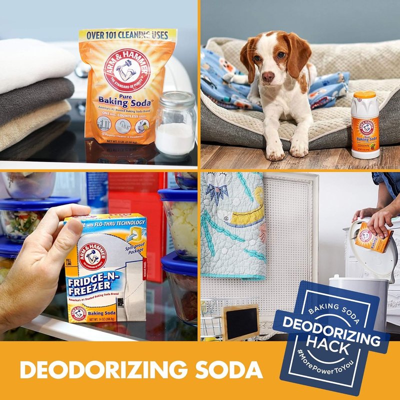 Arm & Hammer Baking Soda Odor Absorber - Freshens Fridge & Freezer | 14 oz, Pack of 12