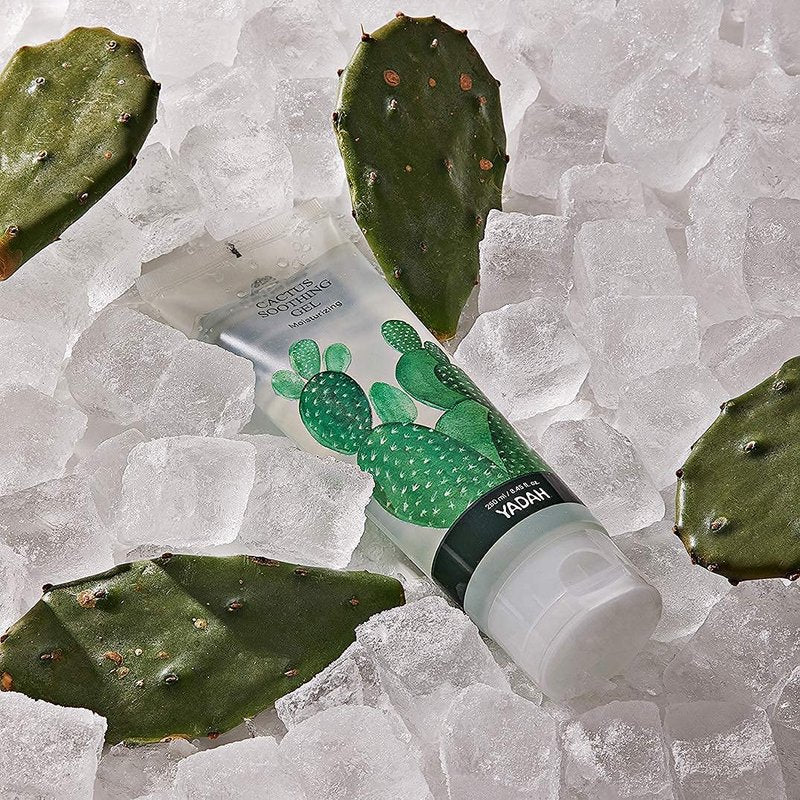 YADAH Cactus Soothing Gel (3.7fl oz) -95% Cactus Extract, Sunburn Relief,After Sun Care,Calm, Cool & Soothe Irritated Skin, Face Redness,Korean Skin Care,Vegan.