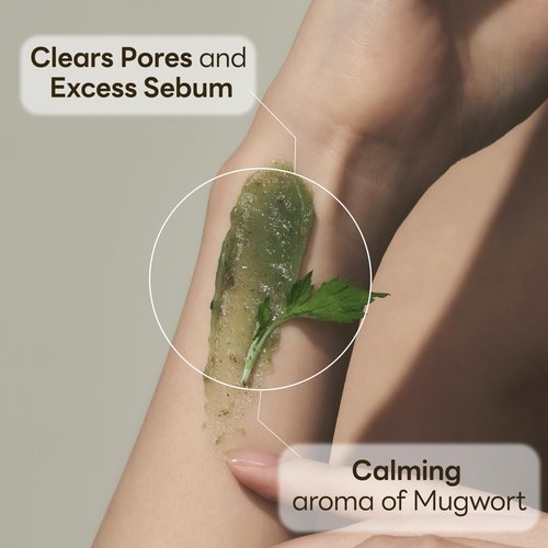 molvany Mugwort Heating Therapy pack I Reduce Puffiness with heat, Clean the pores and control sebum, Calming skin, Wash-off facial mask 100g/3.52 oz
