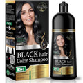 Regine Switzerland Black Hair Dye Shampoo - Ammonia-Free Gray Coverage in Minutes - 10-in-1 Herbal Formula for All