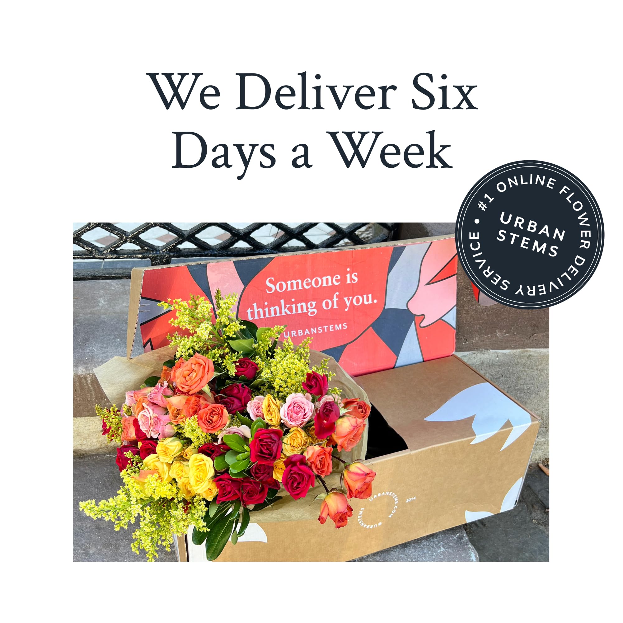 UrbanStems – The Juliet Bouquet (No Vase) – Fresh Flowers for Delivery – Gift for Birthday, Congratulations, Friendship, Thinking of You