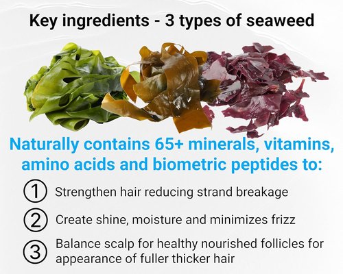 Skiennix Leave-In Conditioner - Seaweed, Kelp & Algae Enriched Hair Treatment | 8.5 fl. Oz - Frizz Control & Shine