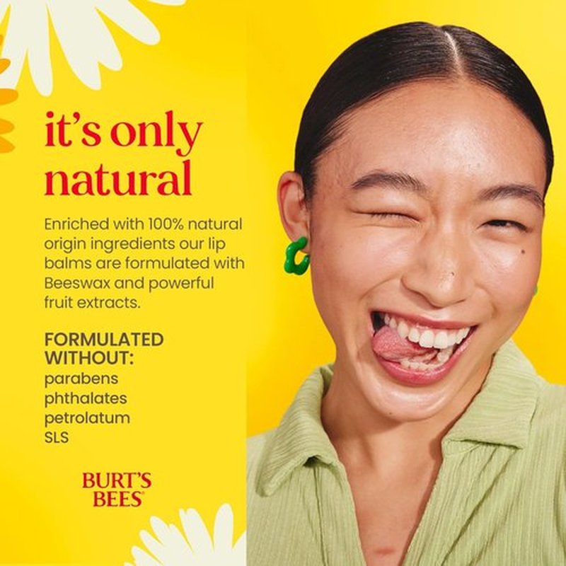Burt's Bees Lip Balm Set - Natural Origin Lip Care | 3 Tubes, 0.15 oz Each for Winter Hydration