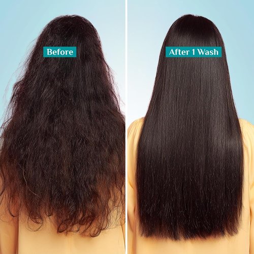 Pilgrim Hair Smoothing Shampoo - Anti-Frizz Formula for Silky, Bouncy Hair | Sulfate-Free | 6.76 Fl Oz (200ml)