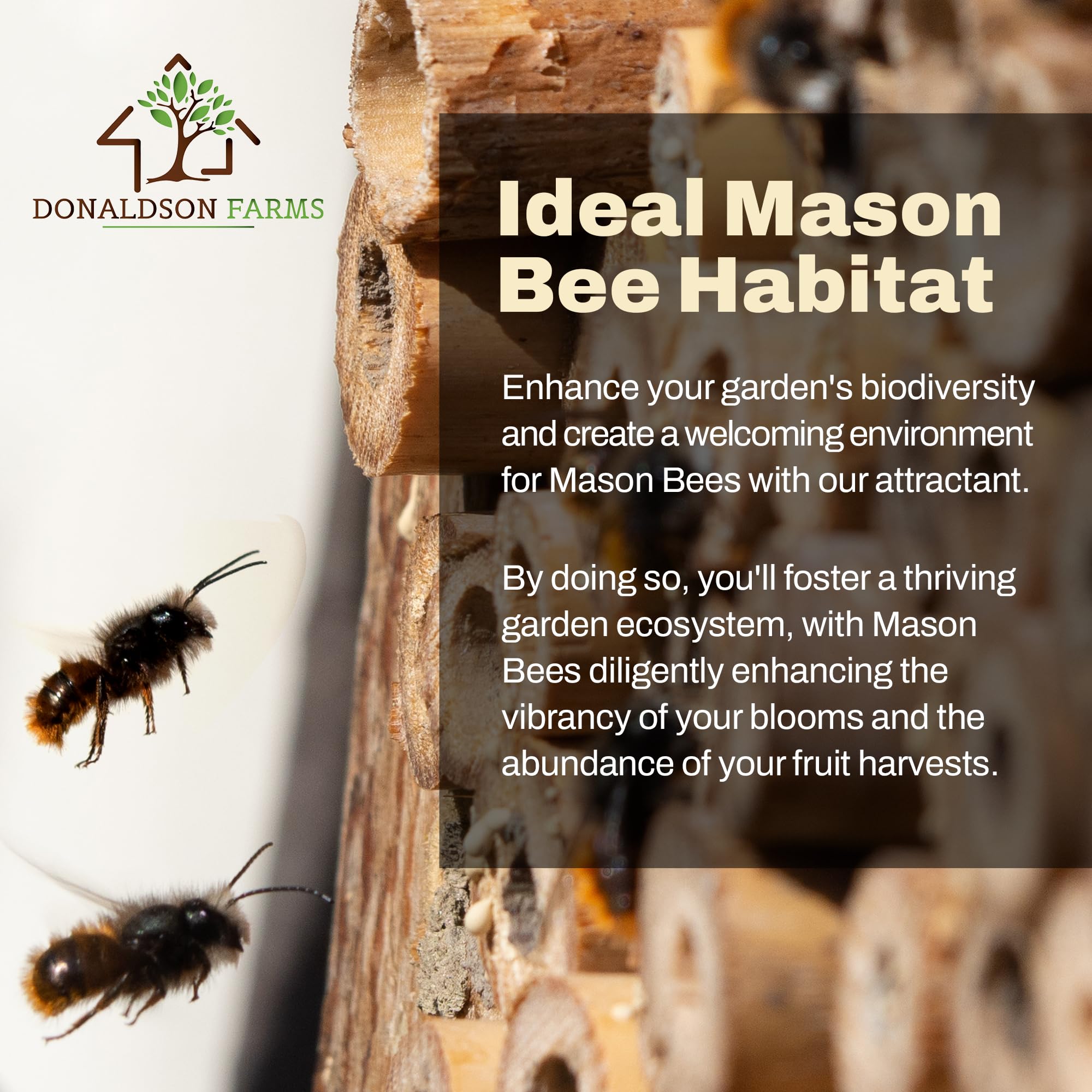 Donaldson Farms Mason Bee Attractant Spray – Made with Natural Lemongrass Oil to Lure Pollinating Bees, Easy to Use Garden Spray for Bee Houses, Nests, Flowering Plants & Fruit Trees – 2 oz