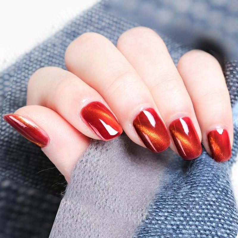 Gsnagole Gel Nail Polish Kit - Cat Eye Magnetic Gel Nail Polish Set, UV LED Soak Off Nail Art Varnish, Manicure Gift Set (Includes Magnet, 10ml per Bottle). (LLMY-1-6)