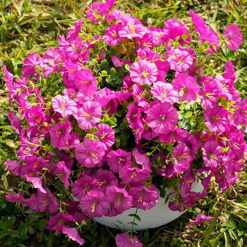 Fanfantoey Artificial Flowers - UV Resistant Silk Morning Glory Plants for Outdoor Decor | 14 Pcs Fuchsia