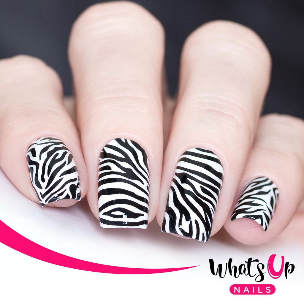 Whats Up Nails - Animal Stamping Plates 2 pack (A015, B025) for Nail Art Design
