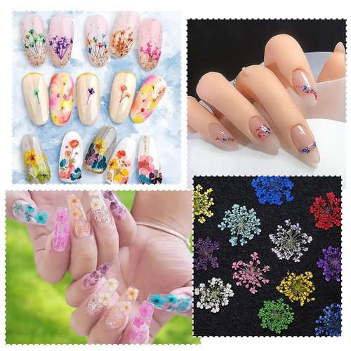 SILPECWEE 2 Boxes Dried Flowers for Nails Mini Real Nail Flowers 3D Dried Flowers Nail Stickers Nail Decor Manicure Design Flower Decorations for Makeup DIY Craft Accessories