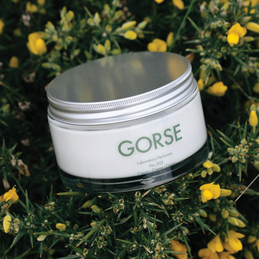 Laboratory Perfumes Gorse Body Cream | Brightening Moisturiser with Vitamin C & Antioxidants | Infused with Gorse Fragrance (200ml)