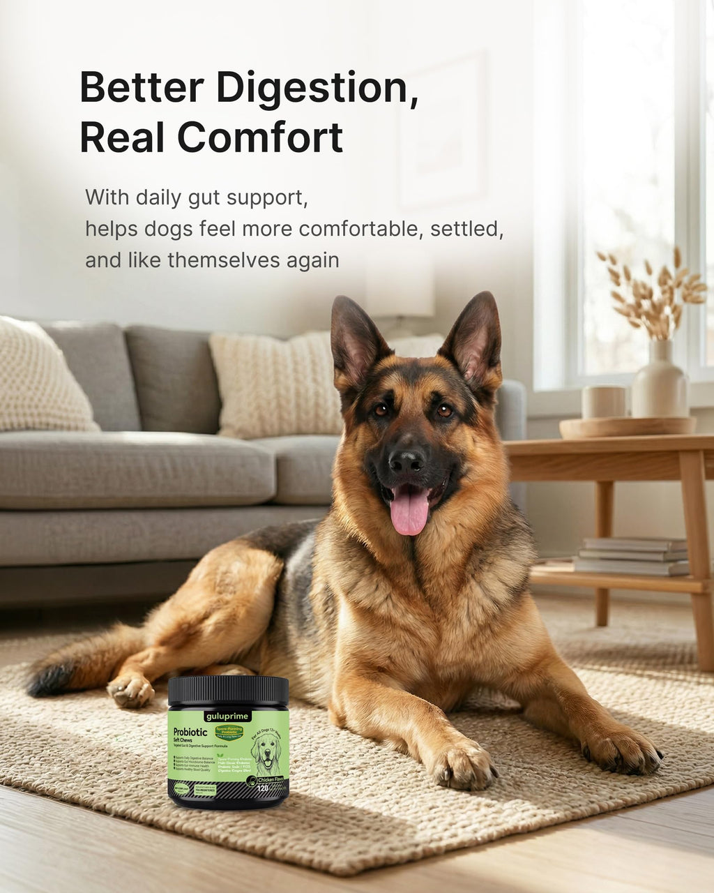 GuluPrime Probiotics for Dogs - Dog Probiotics Digestive Health Support, Dog Probiotic Chews with Spore-Forming Bacillus Coagulans, Prebiotic Inulin & Digestive Enzymes, Chicken Flavor, 120 Soft Chews