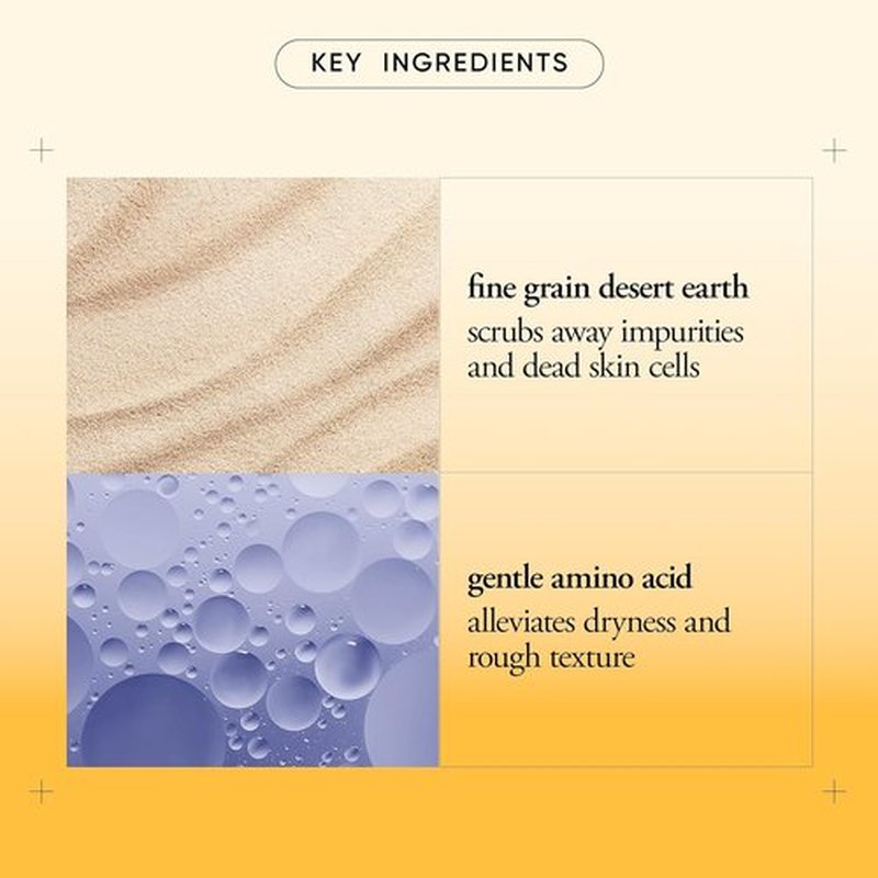 Philosophy Microdelivery Exfoliating Facial Wash - Gentle Amino Acids & Fine Grain Desert Earth - 8 oz