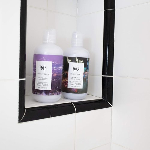 R+Co Sunset Blvd Daily Blonde Conditioner - Nourishing Formula for Radiant Blonde Hair | 8.5 oz