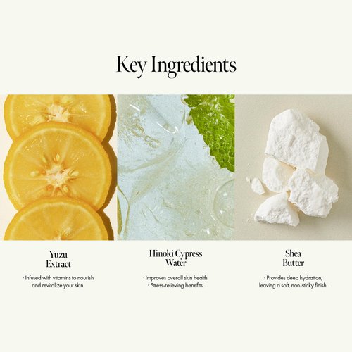 ANILLO Amber528 Scented Hand Cream – Vegan Moisturizer with Yuzu Extract, Hinoki Cypress Oil, Shea Butter & Ceramide – Amber Scent, Paraben-Free, 1.69 fl. oz