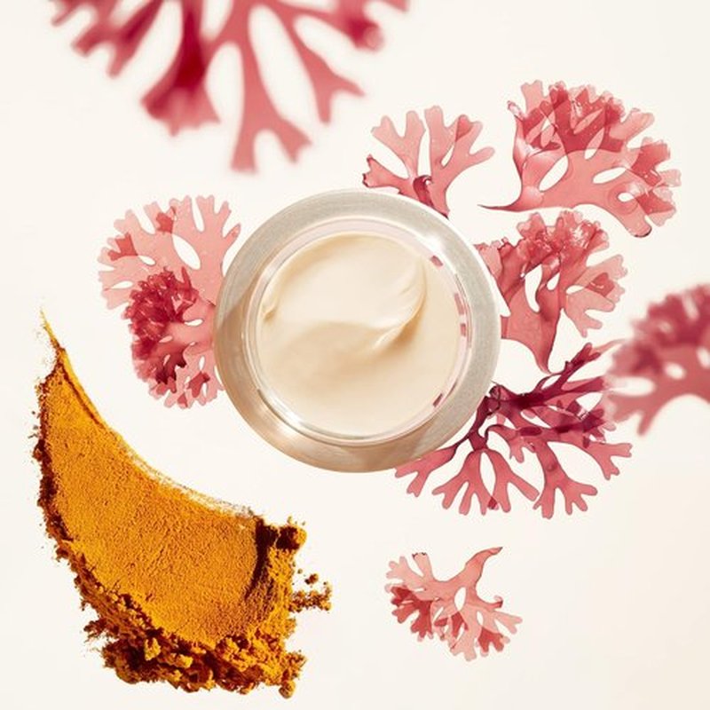 Shiseido Benefiance Wrinkle Smoothing Day Cream - Anti-Aging Moisturizer with SPF 23 - 50 mL