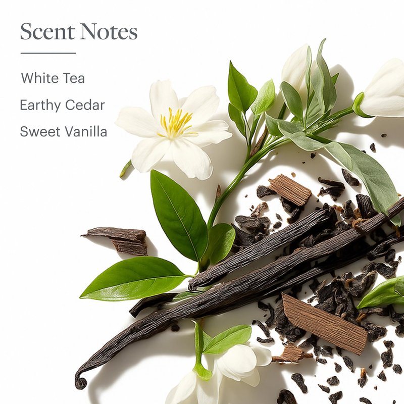 Westin White Tea Aloe Body Wash - Hydrating Bath and Shower Gel with Signature White Tea Aloe Scent - 8 ounces