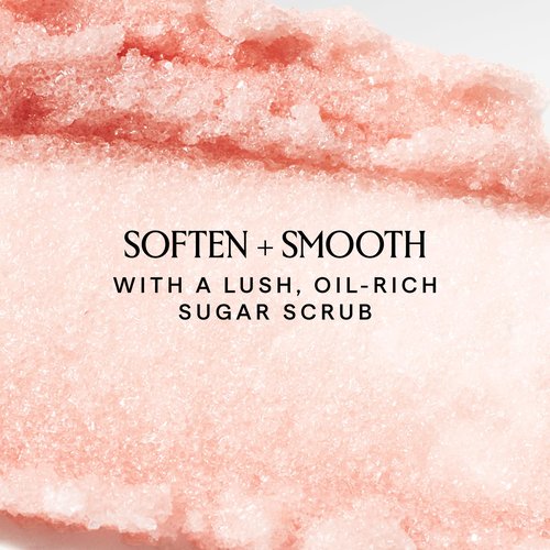 HERBIVORE Coco Rose Coconut Oil Body Polish | Exfoliating Body Scrub with Shea Butter | Smooths & Softens Skin, Plant-Based, Vegan, for All Skin Types, 237 mL / 8 oz (2-pack)