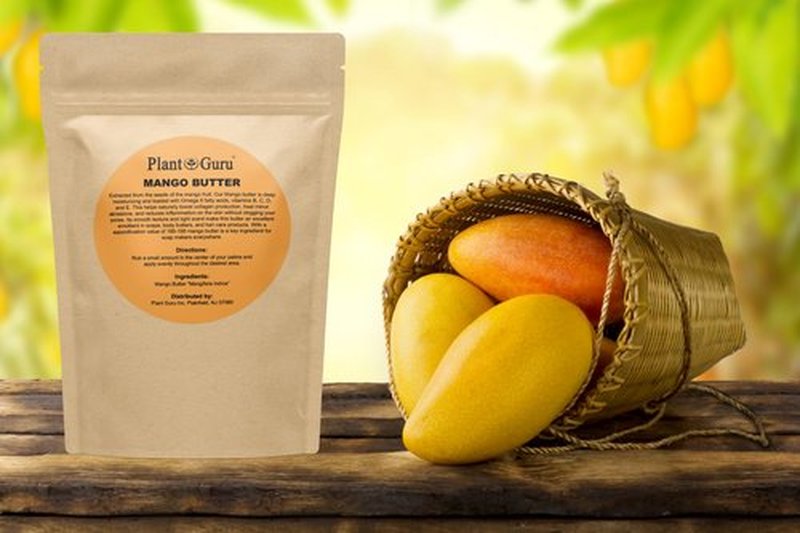 Shea, Mango and Cocoa Butter 8 oz. Bars Variety Bundle Pack - 100% Pure Natural Unrefined - Ideal Moisturizer For Dry Skin, Body, Face And Hair Growth. Great For DIY Soap and Lip Balm Making.