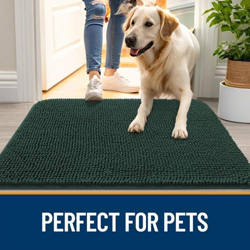 OLANLY Dog Door Mat - Absorbent Non-Slip Mat for Muddy Paws | Quick Dry Chenille, 30x17, Blackish Green