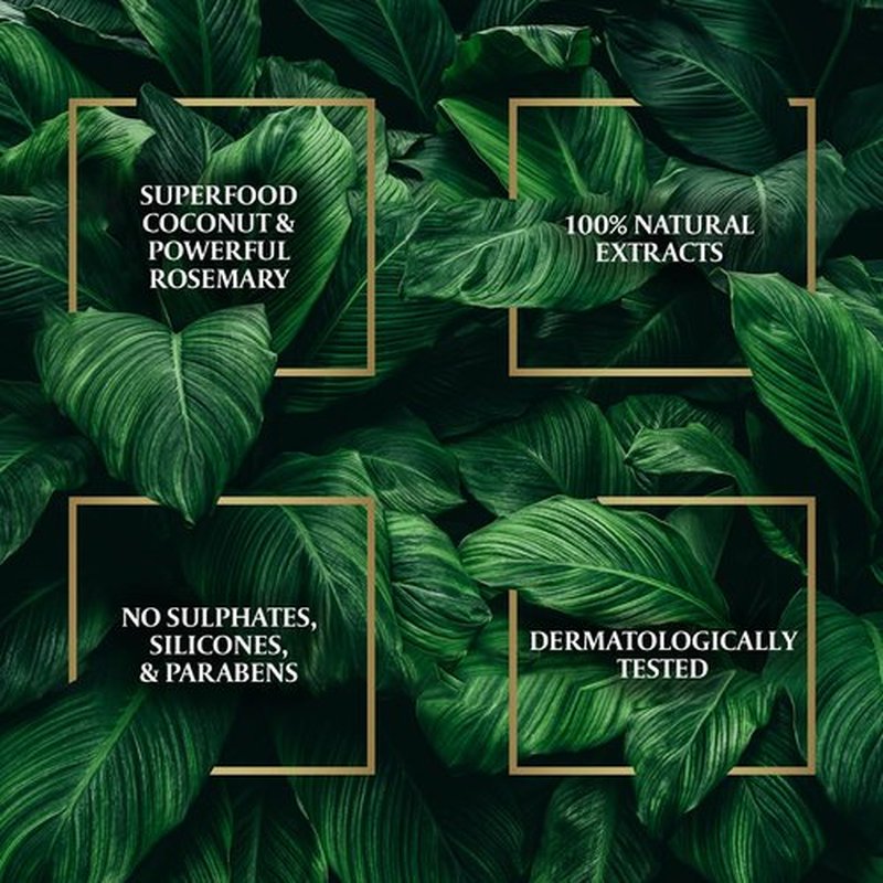 Parachute Advansed Rosemary Hair Oil with Coconut| For 2x Longer & Thicker Hair| Reduces Hairfall & Strengthens Hair| All Hair Types|No Parabens & Silicones| 10.1 Fl.oz.