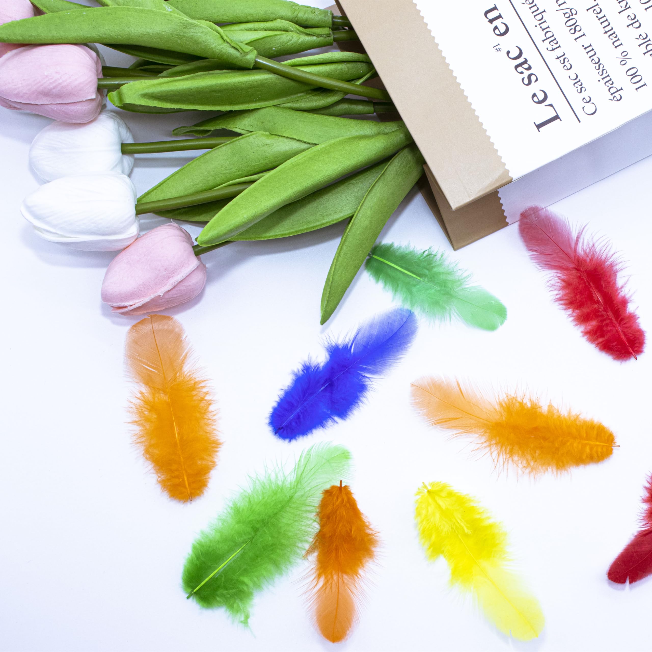 1600Pcs Colorful Craft Rooster Feathers 3-5-inch Bulk Feathers for Crafting Crafts, Wedding, Family Party Decorations, Dream Catcher Supplies, Natural Feathers (Multicolor)